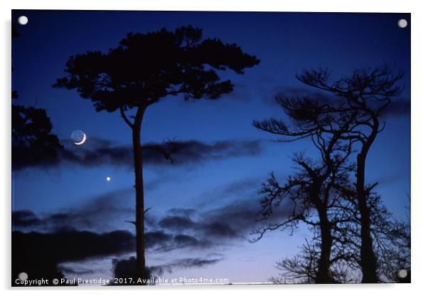 Moon and Trees in Winter Acrylic by Paul F Prestidge