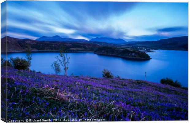 Bluebells after sunset Canvas Print by Richard Smith