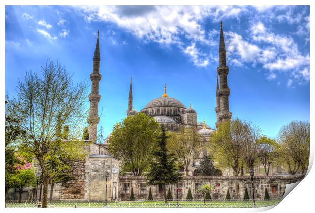 The Blue Mosque Istanbul  Print by David Pyatt