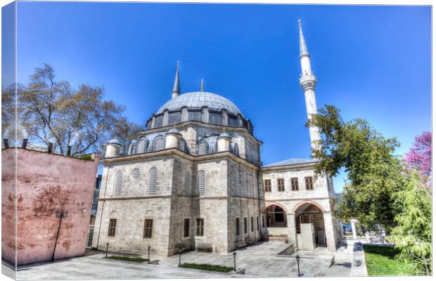 Istanbul Mosque Canvas Print by David Pyatt