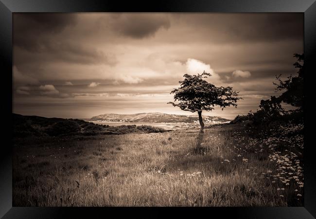 Upon a Hill Framed Print by Sean Wareing