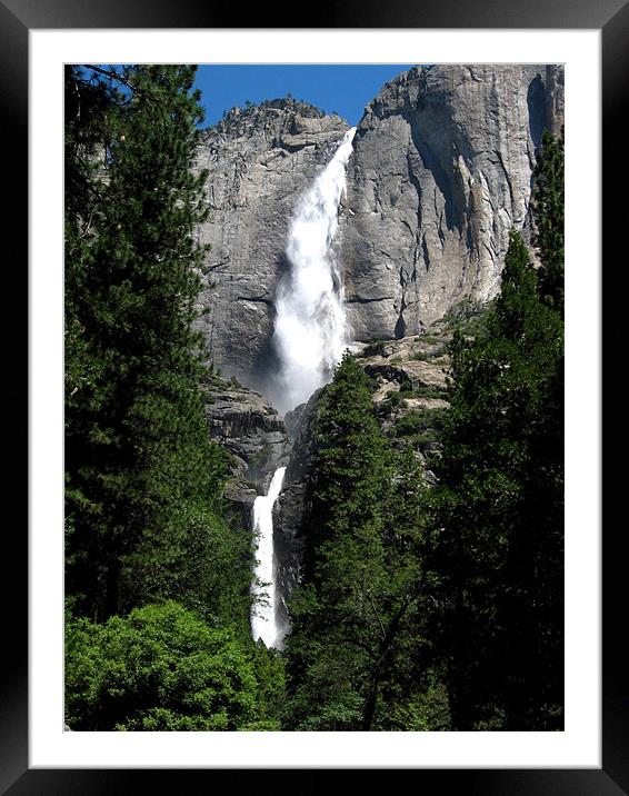 Yosemite Falls Framed Mounted Print by Steve Bieberich