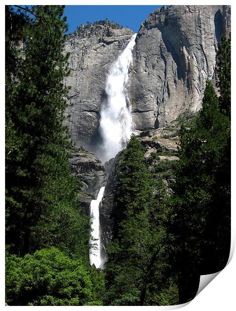 Yosemite Falls Print by Steve Bieberich