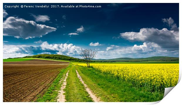 the colors of spring   Print by Ferenc Verebélyi