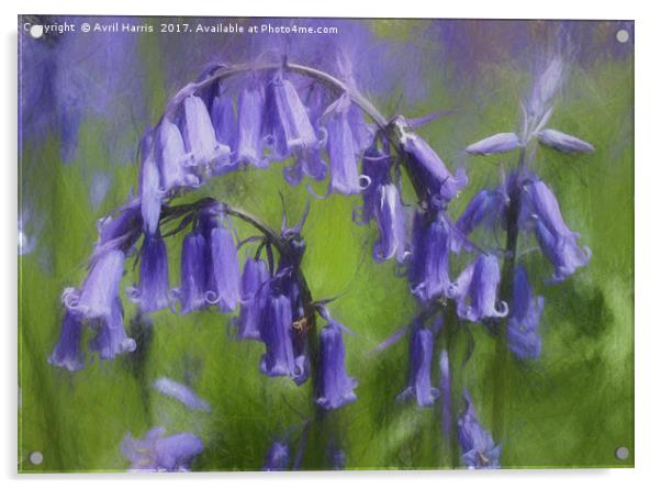 Bluebell Arch Acrylic by Avril Harris