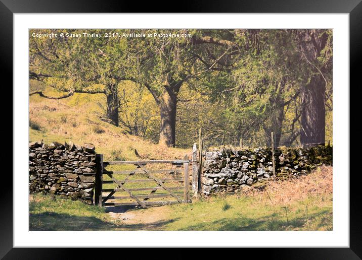 Cumbrian drystone wall Framed Mounted Print by Susan Tinsley