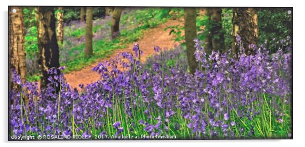 "Bluebell Woods" Acrylic by ROS RIDLEY