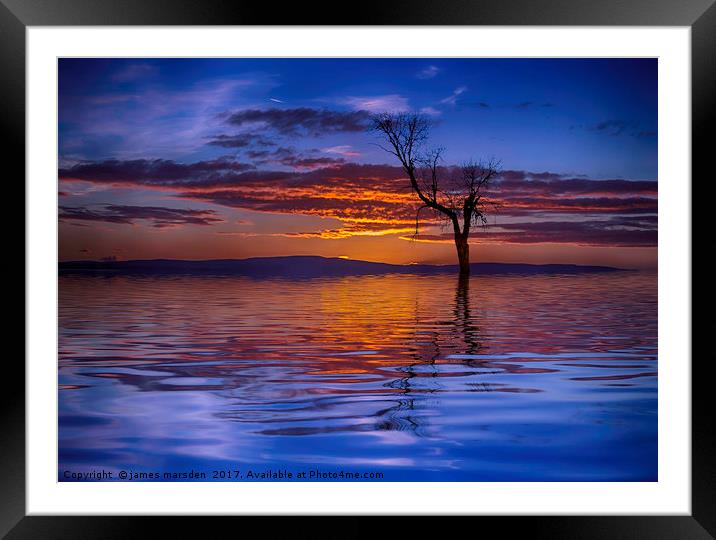 Lone Tree on a Beautiful Sunrise Framed Mounted Print by James Marsden