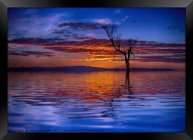 Lone Tree on a Beautiful Sunrise Framed Print by James Marsden