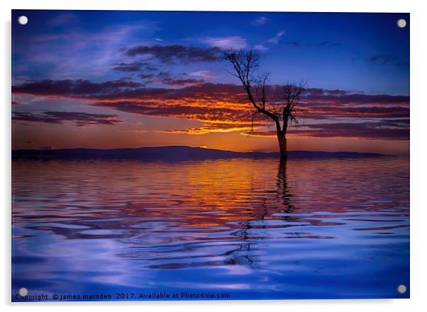 Lone Tree on a Beautiful Sunrise Acrylic by James Marsden