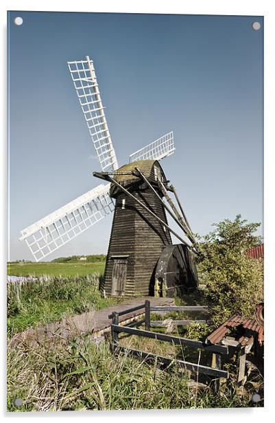 Herringfleet Mill Acrylic by Stephen Mole