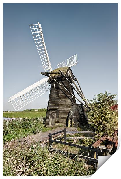 Herringfleet Mill Print by Stephen Mole
