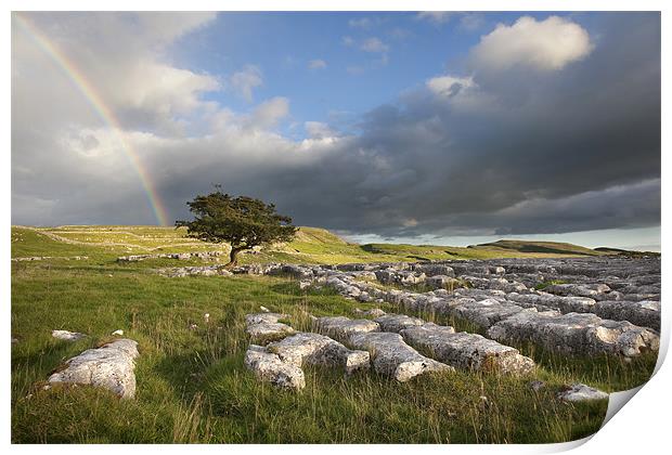 Hope In The Dales Print by Steve Glover