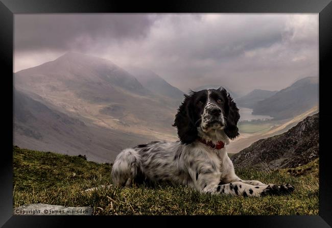 Enjoying the views from the top Framed Print by James Marsden