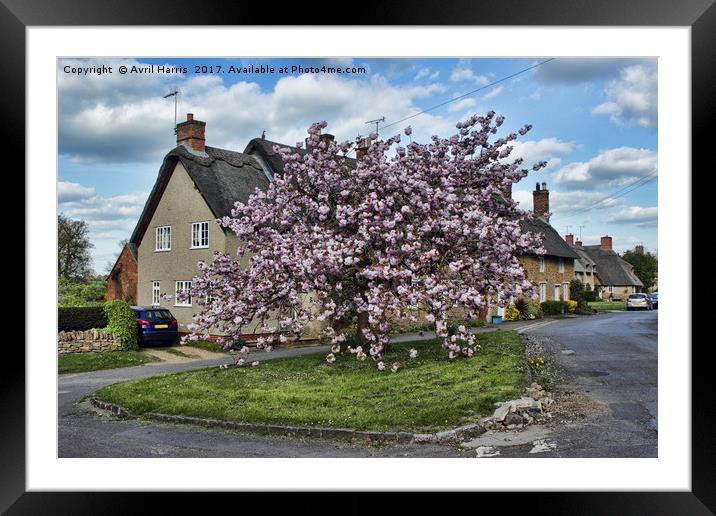 Ashby St Ledgers thatched cottages Framed Mounted Print by Avril Harris