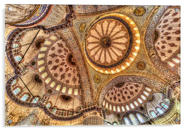 The Blue Mosque Istanbul  Acrylic by David Pyatt