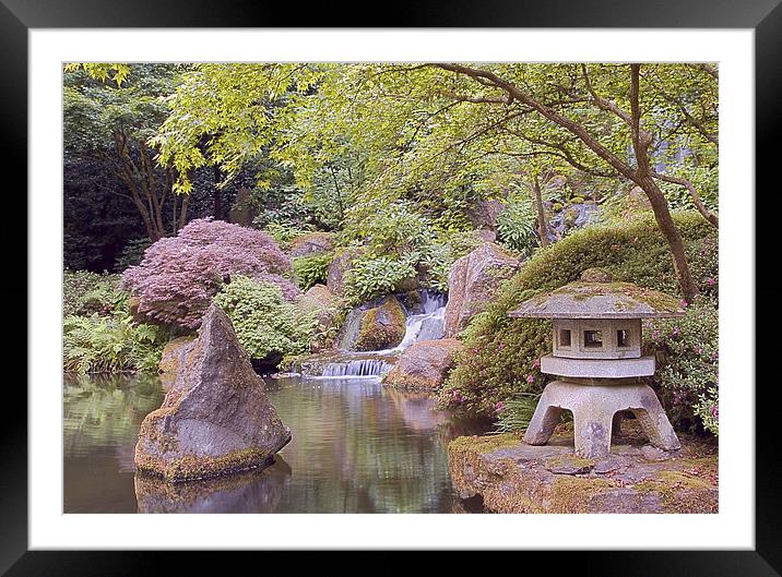 japanese zen garden in portland Framed Mounted Print by sharon hitman