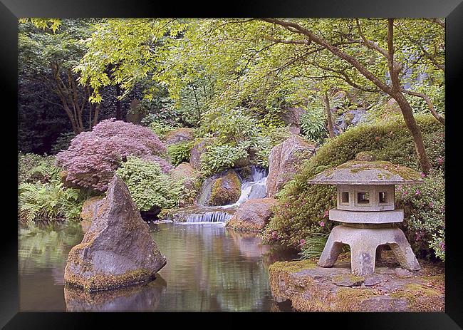 japanese zen garden in portland Framed Print by sharon hitman