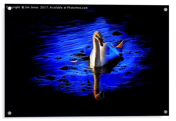 Artistic Swan Acrylic by Jim Jones