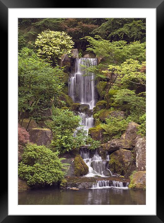 japanese garden waterfall Framed Mounted Print by sharon hitman