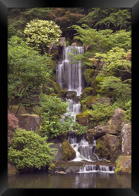 japanese garden waterfall Framed Print by sharon hitman