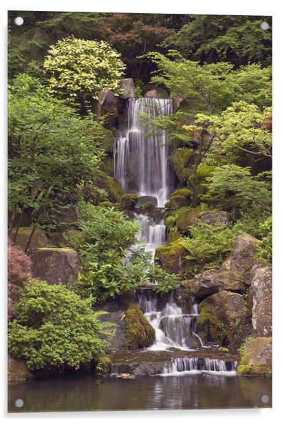 japanese garden waterfall Acrylic by sharon hitman