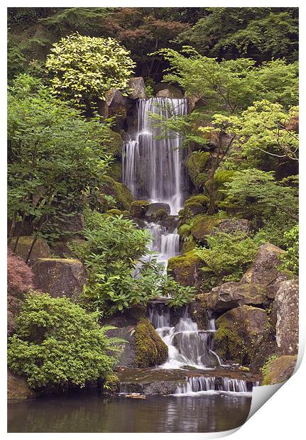 japanese garden waterfall Print by sharon hitman