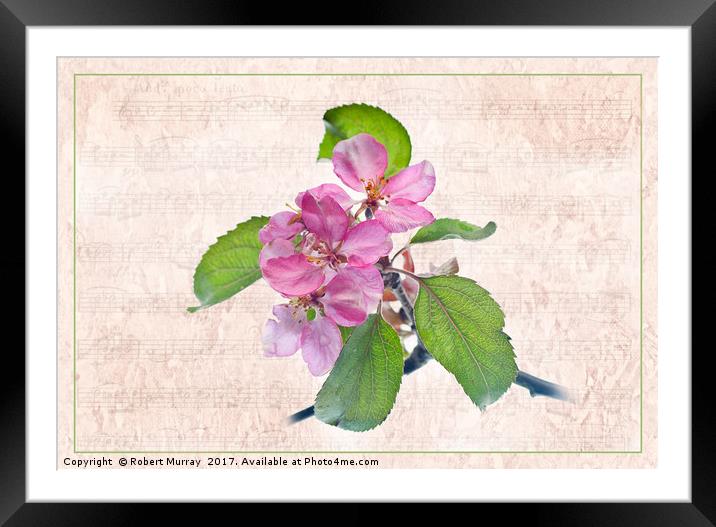 A Melody for Springtime Framed Mounted Print by Robert Murray