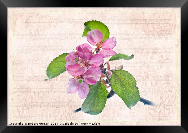 A Melody for Springtime Framed Print by Robert Murray