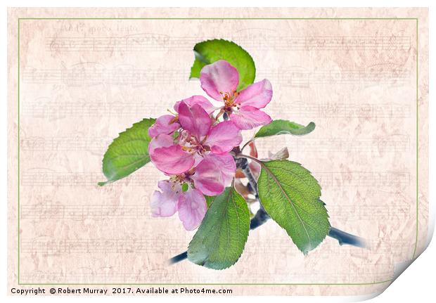 A Melody for Springtime Print by Robert Murray