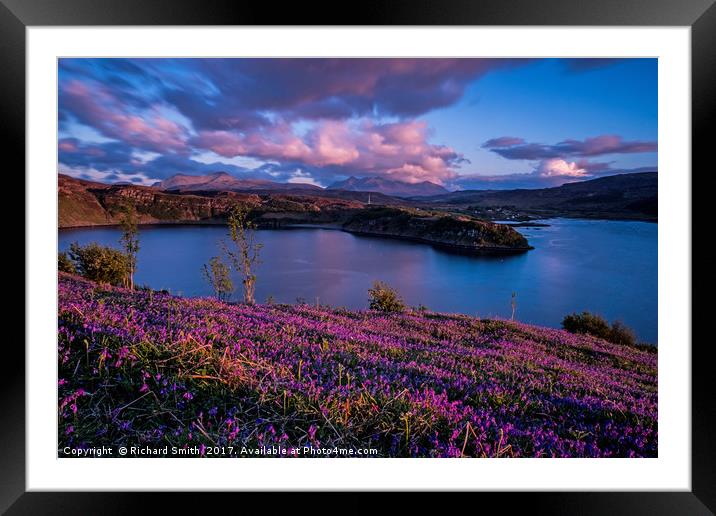 Bluebells at sunset brightened Framed Mounted Print by Richard Smith