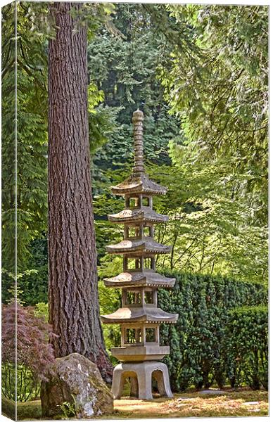 japanese zen garden Canvas Print by sharon hitman