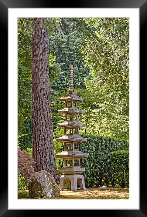 japanese zen garden Framed Mounted Print by sharon hitman