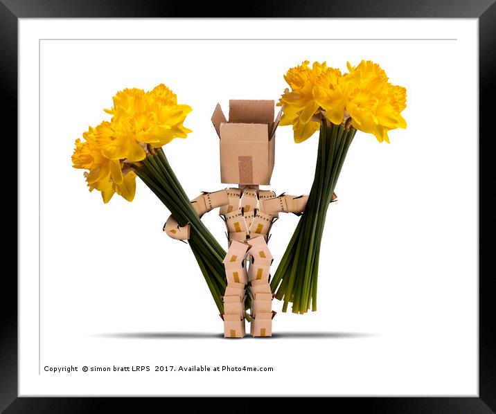 Box character holding large bunches of daffodils Framed Mounted Print by Simon Bratt LRPS
