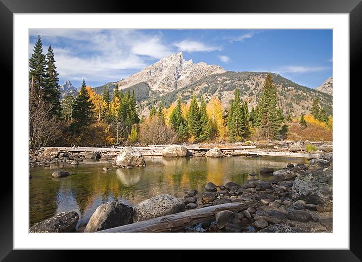 Cottonwood Creek Framed Mounted Print by Mary Lane