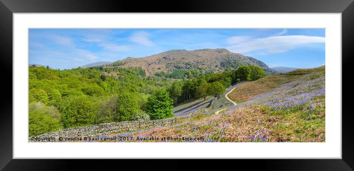Bluebell walk, Grasmere - panorama Framed Mounted Print by yvonne & paul carroll