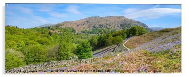 Bluebell walk, Grasmere - panorama Acrylic by yvonne & paul carroll