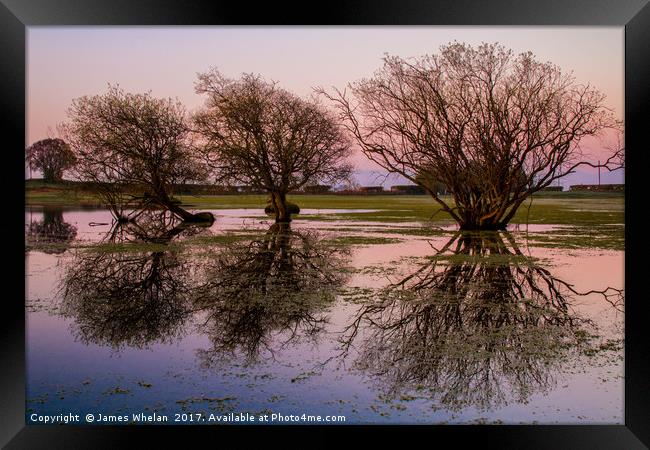 Mirror Pool Framed Print by James Whelan