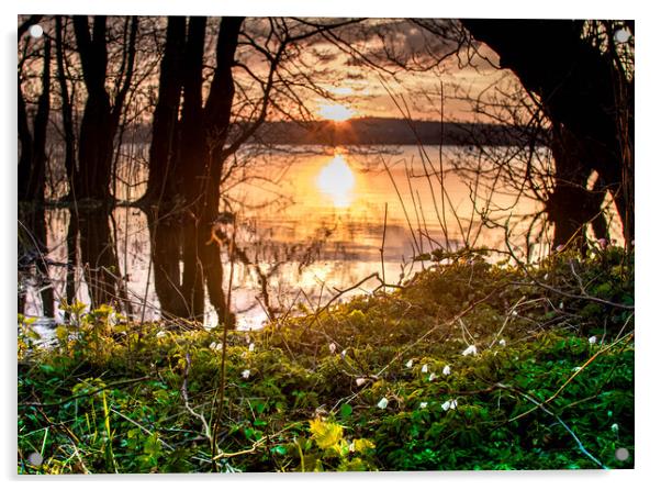 Llangorse lake sunset Acrylic by James Whelan