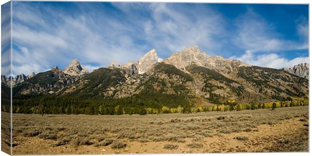 The Tetons Canvas Print by Mary Lane