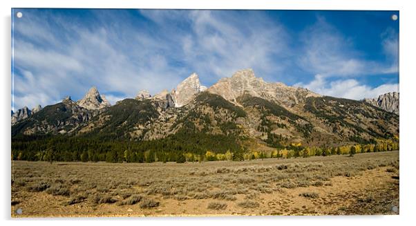 The Tetons Acrylic by Mary Lane