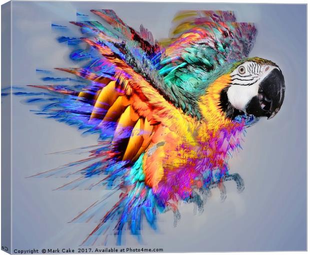 Macaw colour burst Canvas Print by Mark Cake