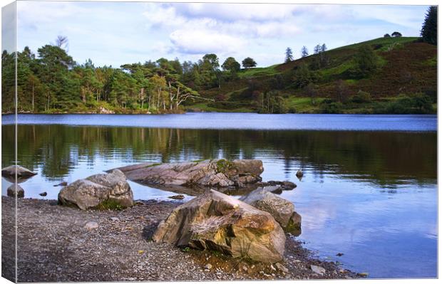 Tarn Hows Early Evening Canvas Print by Jacqi Elmslie