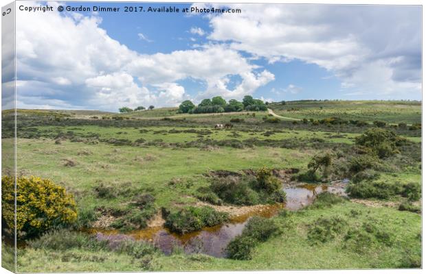  Ashley Walk in the New Forest Canvas Print by Gordon Dimmer