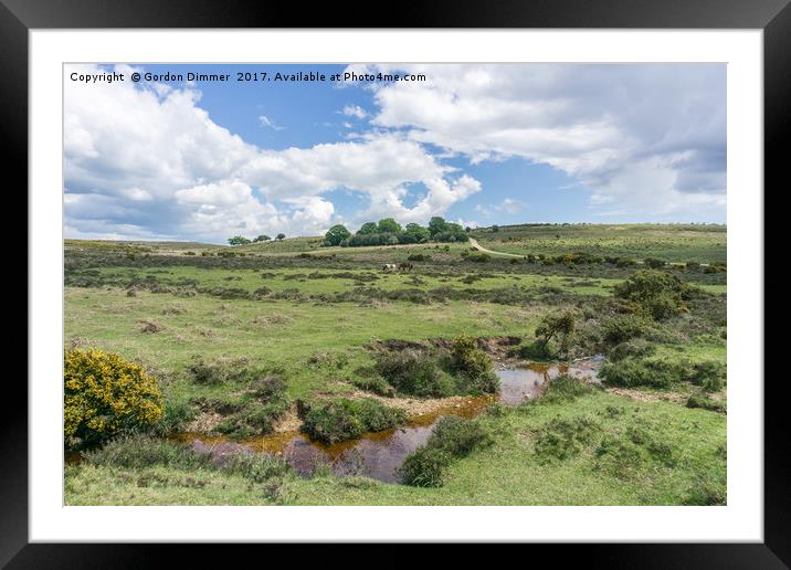  Ashley Walk in the New Forest Framed Mounted Print by Gordon Dimmer