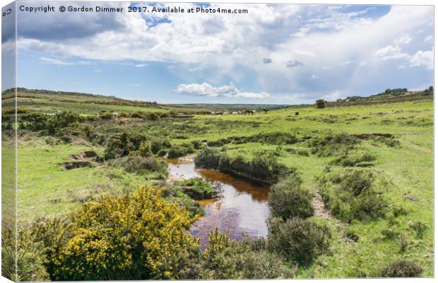 Ditchend Brook near Ashley Walk in the New Forest Canvas Print by Gordon Dimmer