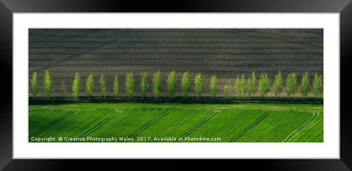 Spring Trees Framed Mounted Print by Creative Photography Wales