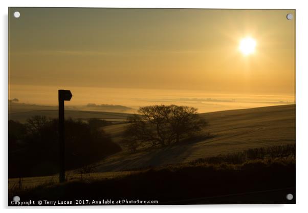 Misty Dawn near Dorchester, Dorset Acrylic by Terry Lucas