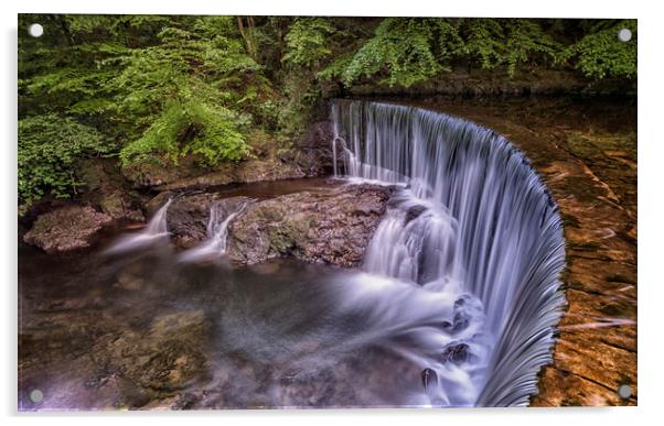 Rover Calder Waterfall Acrylic by Angela H