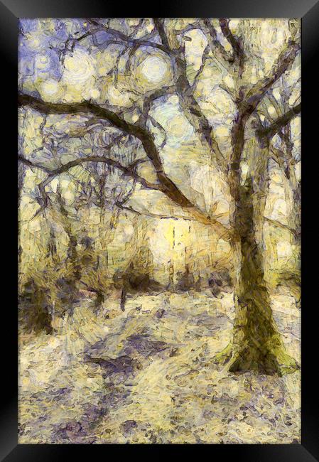 Sunrise Forest Art Framed Print by David Pyatt
